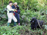 Experience Uganda Gorilla Trekking Experience Uganda Gorilla Trekking
