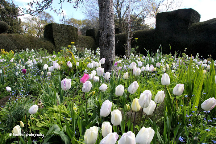 весеннее настроение весеннее настроение