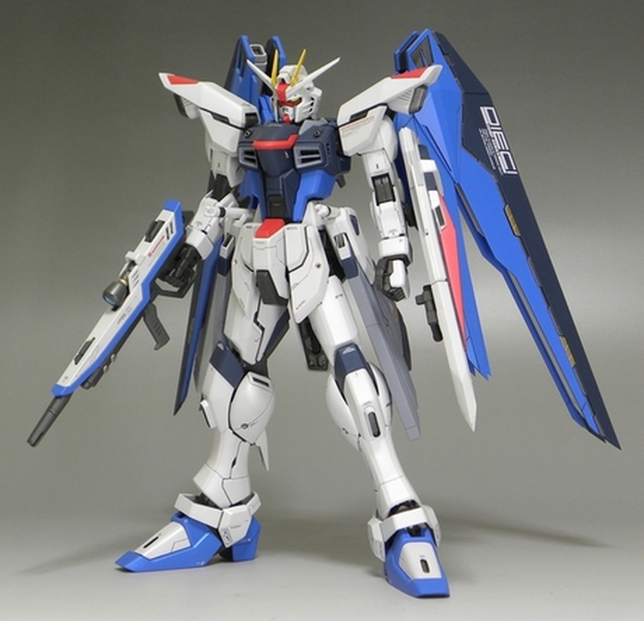 Custom Build: MG 1/100 ZGMF-X10A Freedom Gundam 