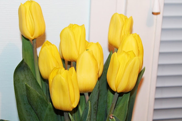 Mihin elämässä kannattaa panostaa?