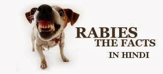 Rabies-information-in-hindi