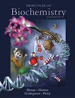 Principles of Biochemistry 5th edition