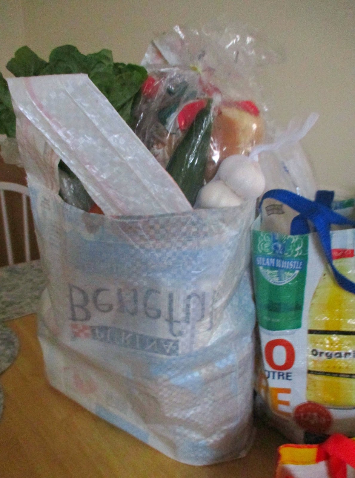 Just my Stuff Recycled Dog Food Bag to Homemade Grocery Bag