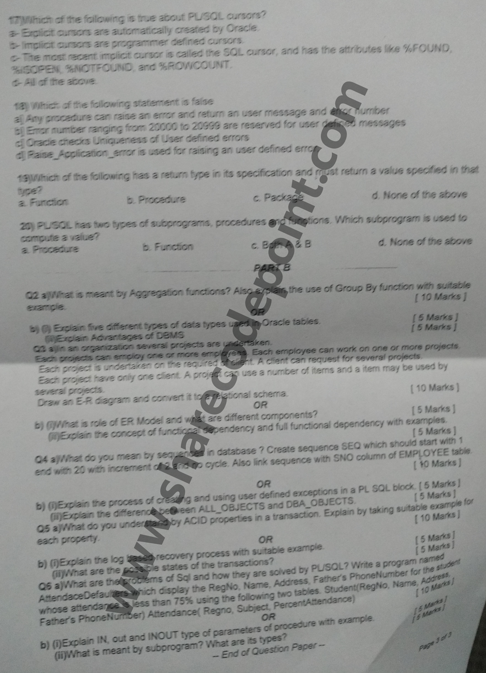 database management system term paper