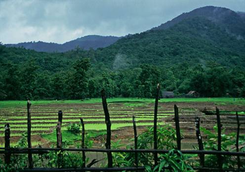 Way to Jog Falls - Karnataka