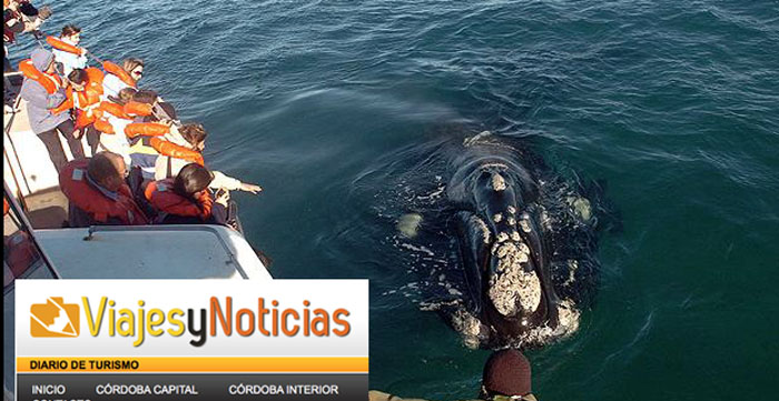 Avistaje de ballenas viajes y noticias con ballenas en peninsula valdes Avistaje de ballenas viajes y noticias con ballenas en peninsula valdes