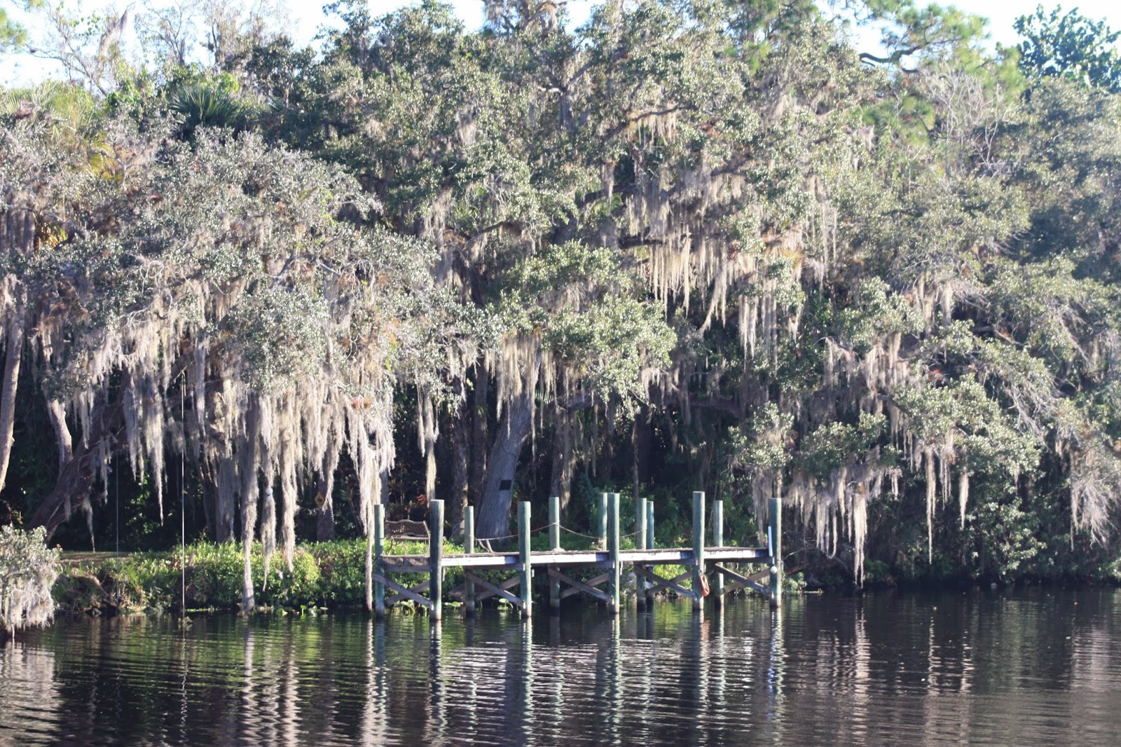 Meandering Joy LaBelle to Fort Myers