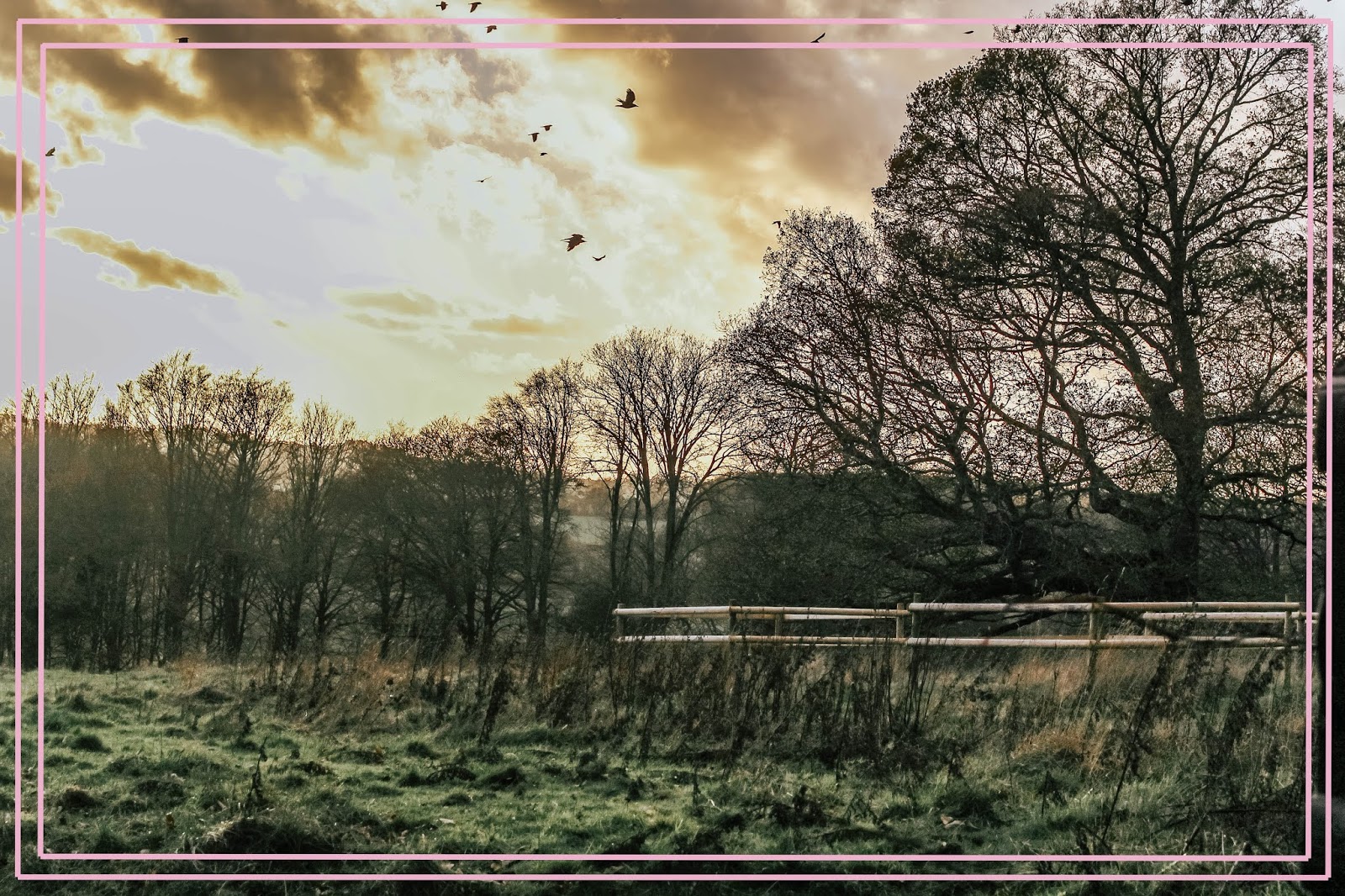 Countryside Sunset UK Countryside Fields Sunset