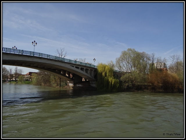 Bords de Marne pont Joinville St Maur 