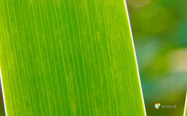 Wallpaper windows 8 full hd - Download Wallpaper win 8 | Wallpaper Full