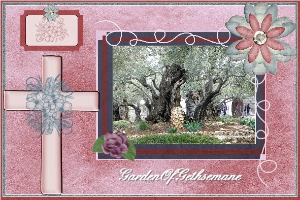 lo 4 - March 2016 - Garden of Gethsemane