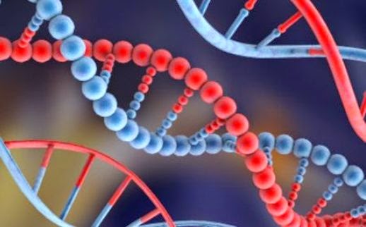 Variación del ADN humano hace 5 mil años prueban verdad del Diluvio Bíblico La variación del ADN humano demuestra veracidad del Diluvio