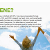 Get Better Cholesterol Level with Omegazene