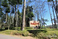 kawah putih ciwidey