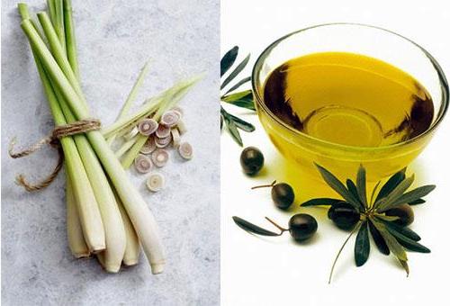 Cách làm tóc suôn mượt với dầu oliu cach-lam-toc-suon-muot-voi-dau-oliu