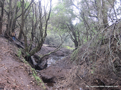 13 - Llegando a la primera explanada en Cerro Viejo