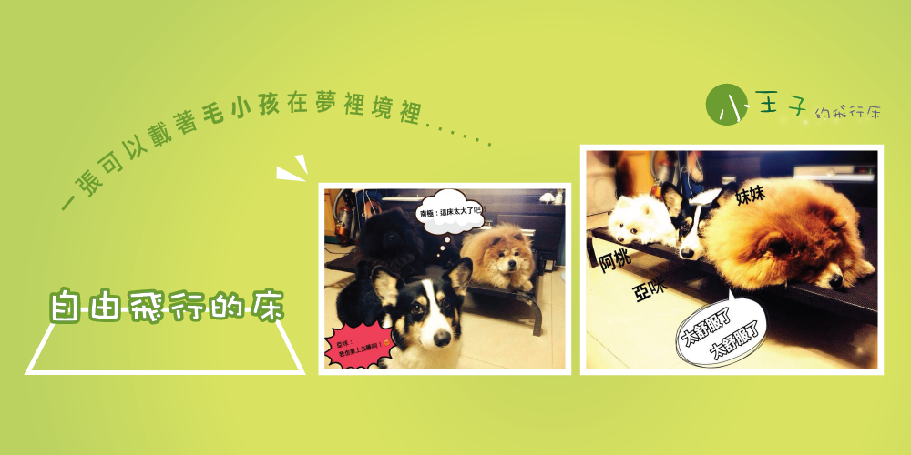 台南網頁設計