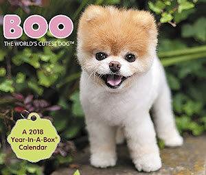 2018 Boo Calendar (Year-In-A-Box)