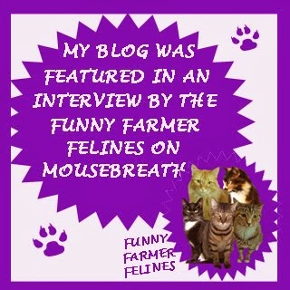 Check Out Our Mousebreath Interview!