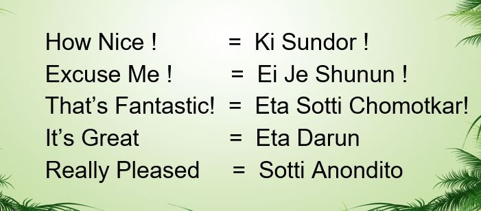 Learn Bengali 25 Expression Related Short Sentences