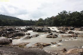 Abbi waterfalls, Chikmagaluru