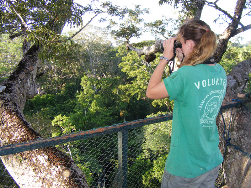 Beauty of Passara Bird Watching in Madolseema And Namunukula Forest Area