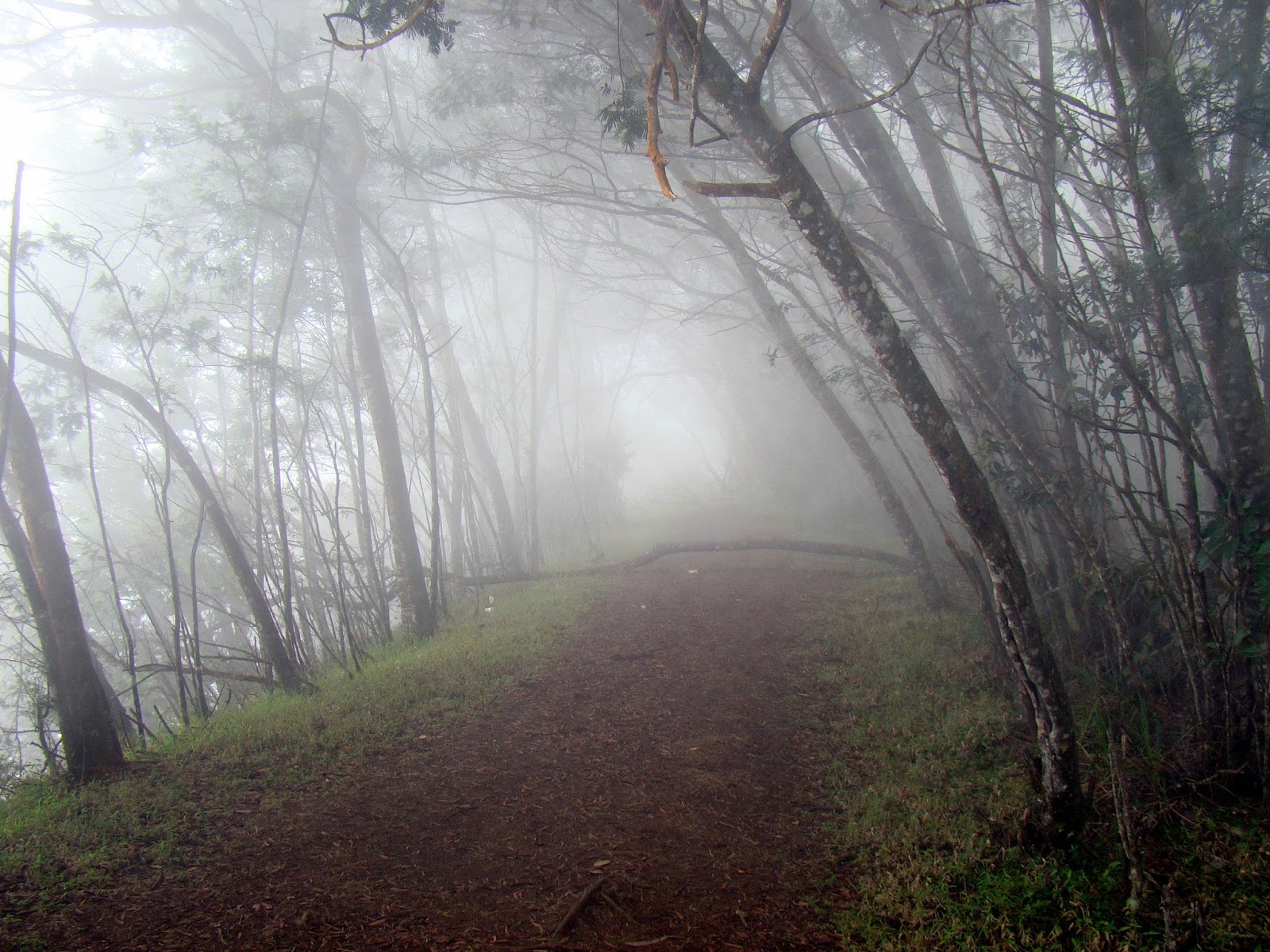 Tamilnadu Tourism Caps Valley View (Thoppi Thooki Paarai), Kodaikanal
