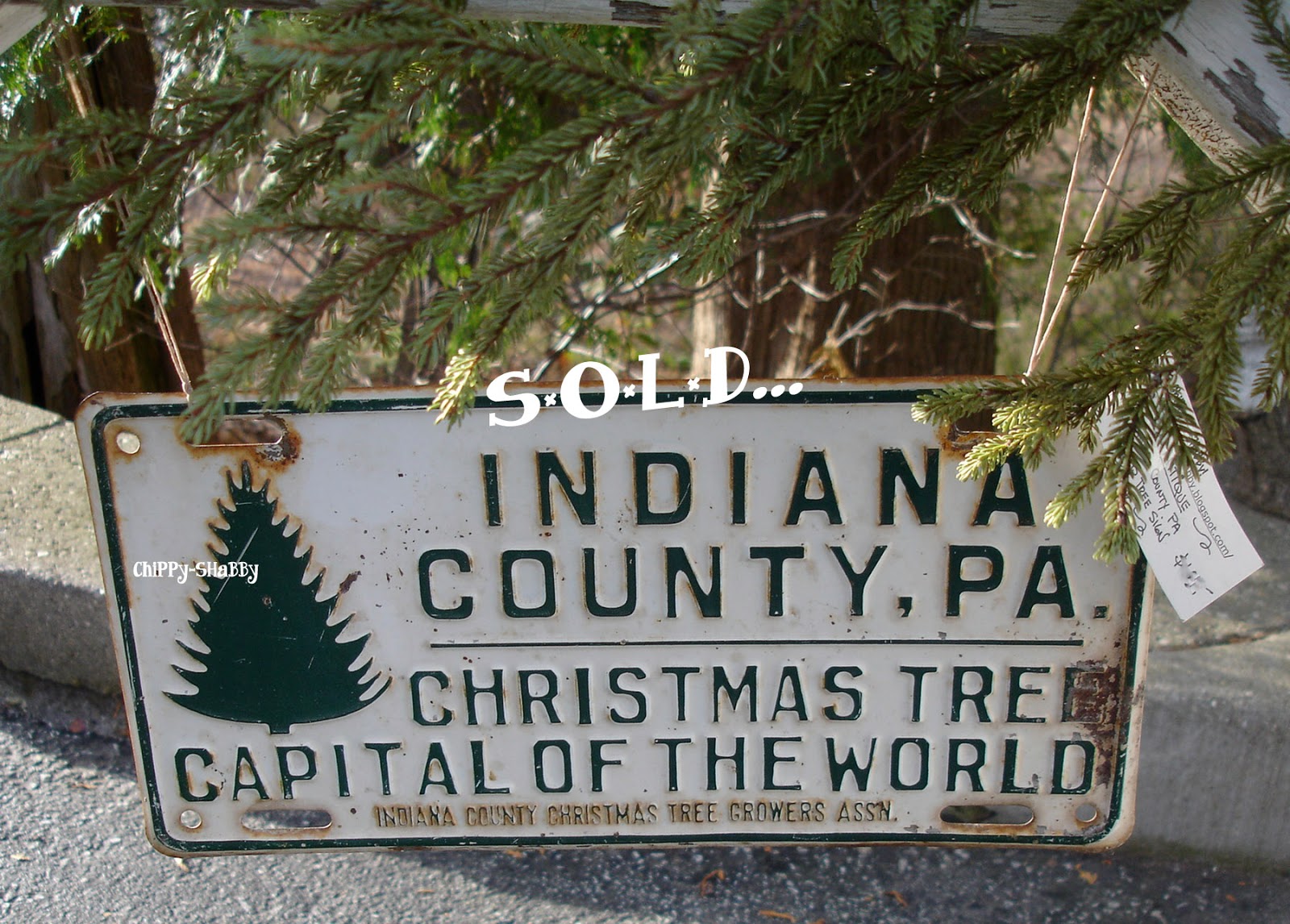 ChiPPy! SHaBBy! B*A*C*K From Washington Street HoLiDay Market Naperville, IL