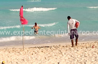 Cierran playa por Barracuda; salvavidas activan sus silbatos ante presencia de ejemplar de casi dos metros de largo; ponen bandera roja por 40 minutos
