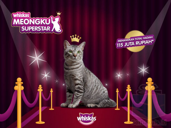 Meongku Superstar Meongku Superstar