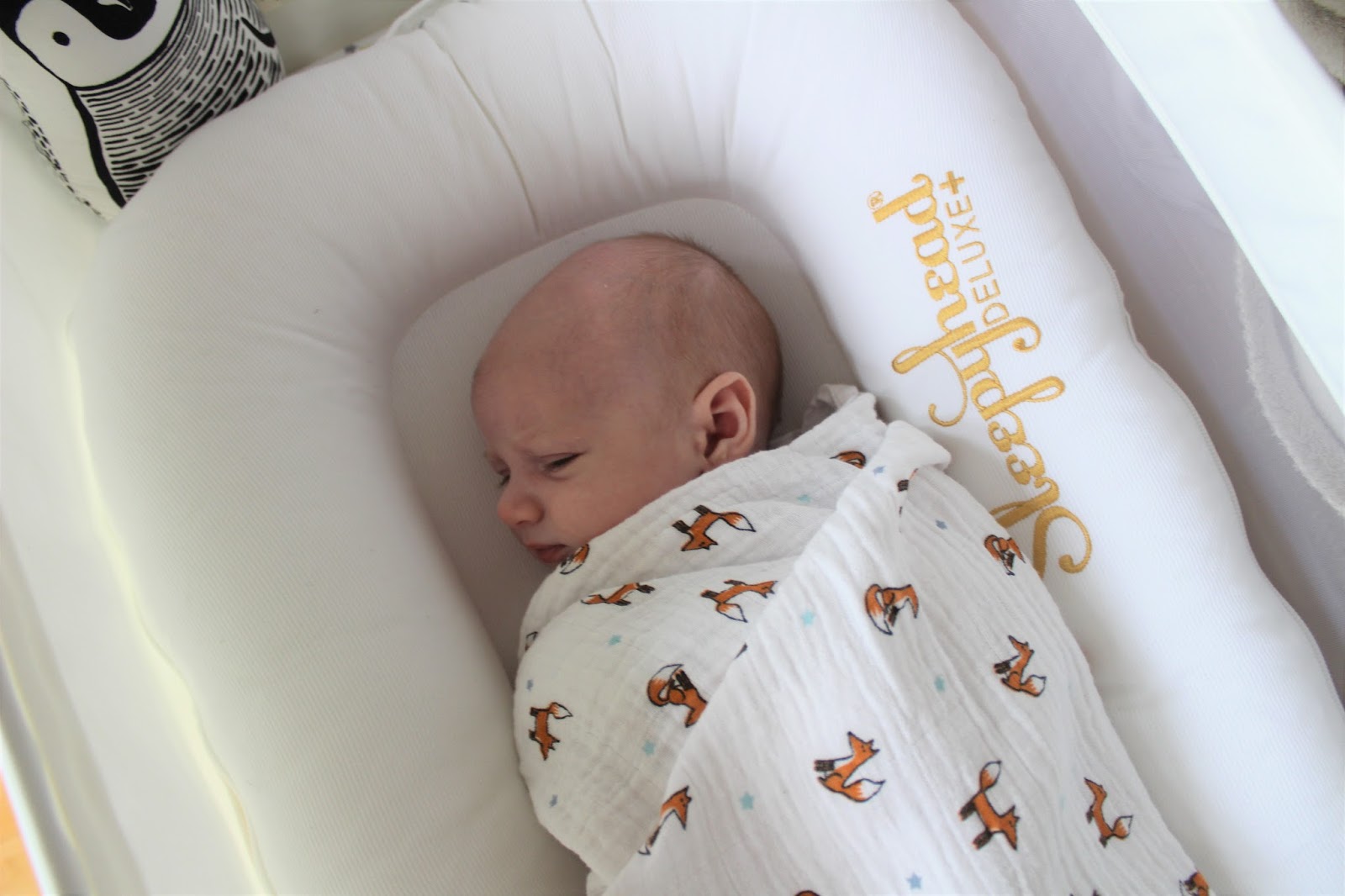 sleepyhead deluxe pillow