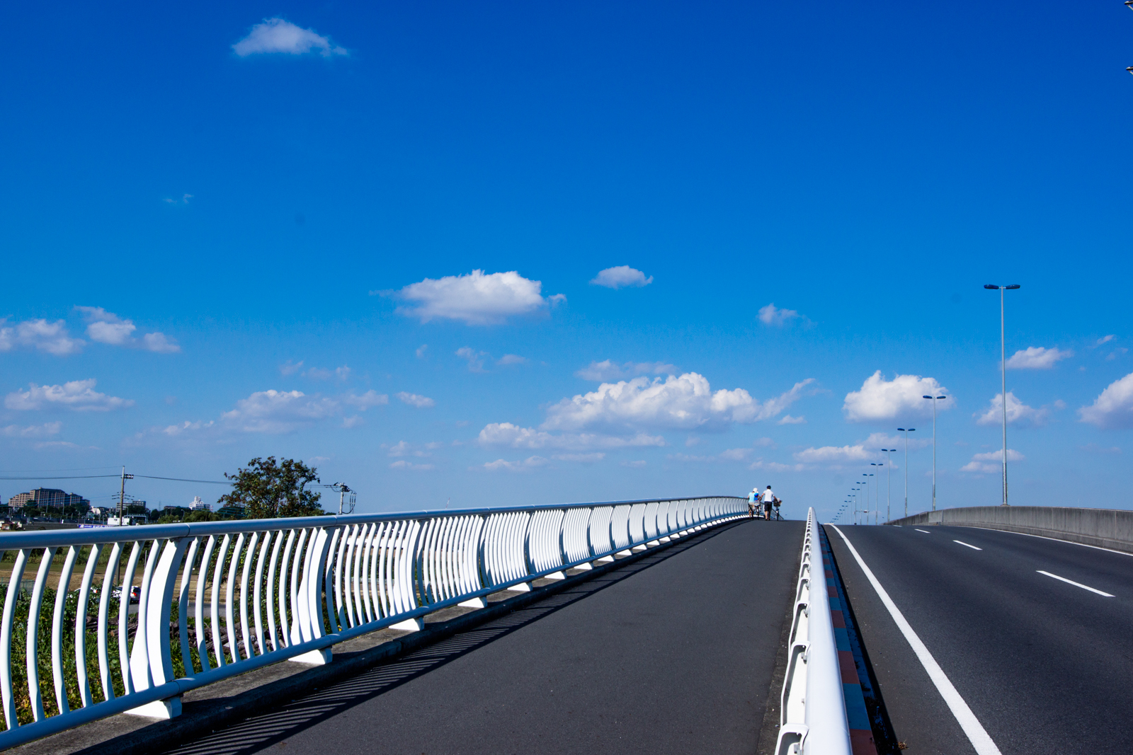 道路橋と青空の写真