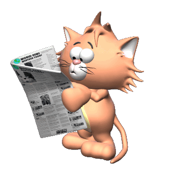 kucing baca koran
