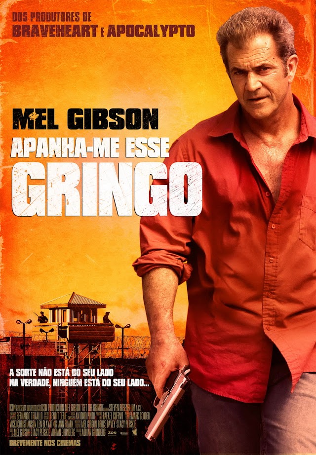 Crítica - Get The Gringo (2012)