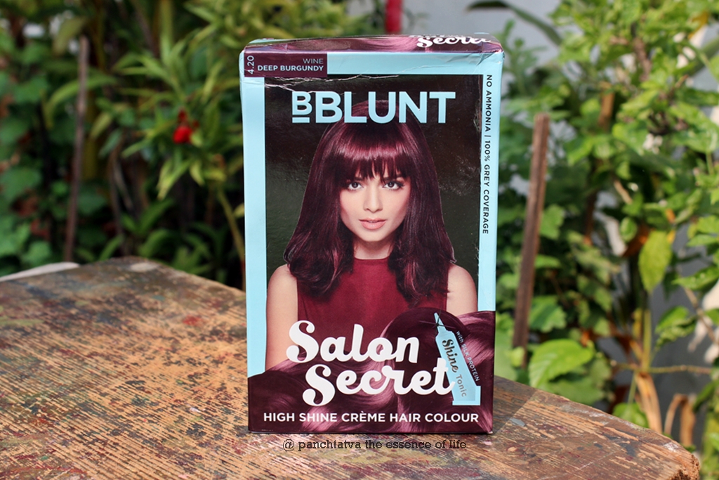 Shiny Awesome Coloured Hair With Bblunt Salon Secret High
