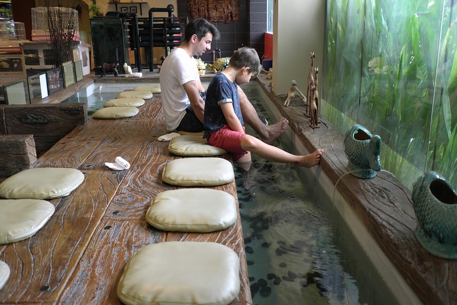 JE TunNel One of Top 10 largest Pet Shops in the World! CHEW THEAN