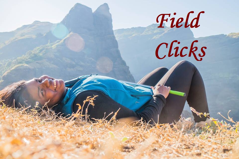 Field Clicks