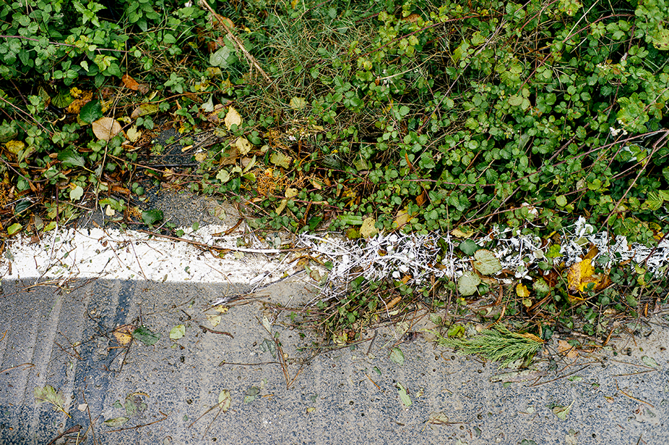 Interview with Engin Güneysu