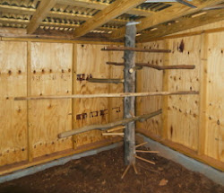 chicken coop roost floor walls coops windows tree chickens plywood building backyard quarter inch 5acresandadream short raise why progress area