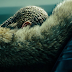 Stream: atualizado! Assista ao especial “Lemonade”, da Beyoncé, ao vivo pela internet