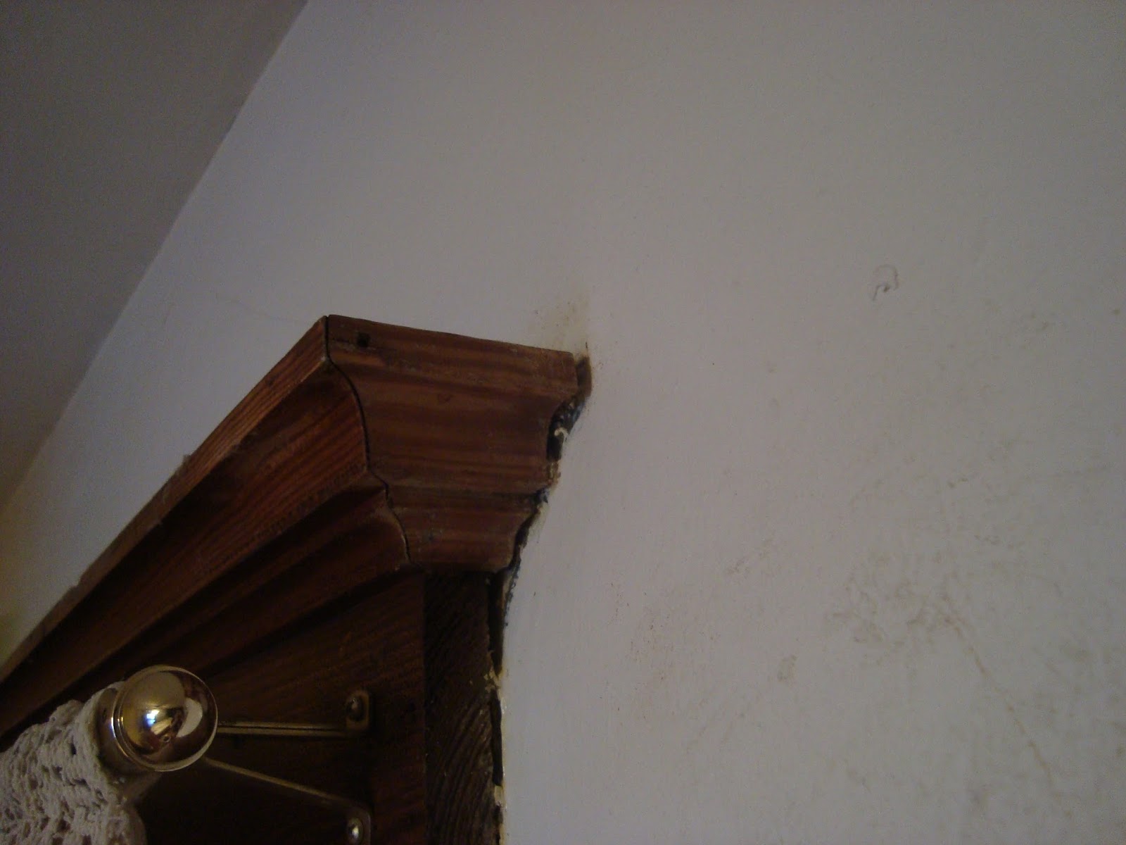 Lady of Whimsy Remove paint splatter from wood trim AFTER IT DRIES!!