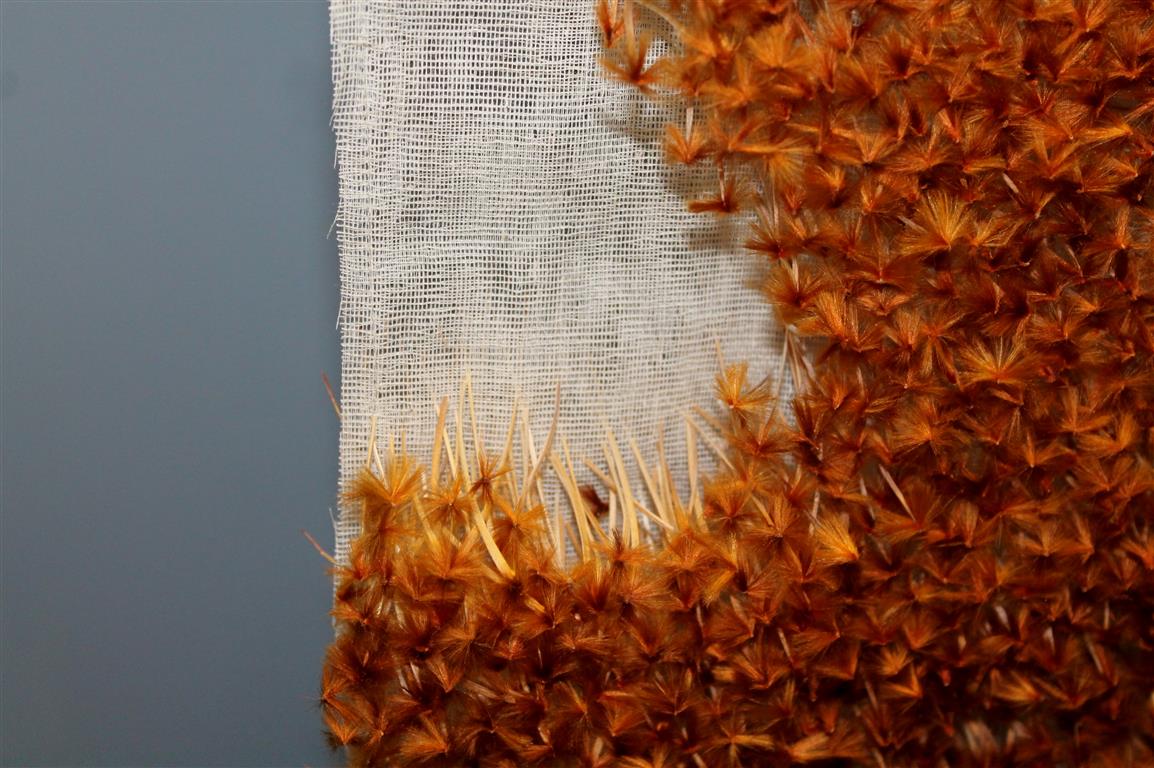 Progression Protea Seed Blanket