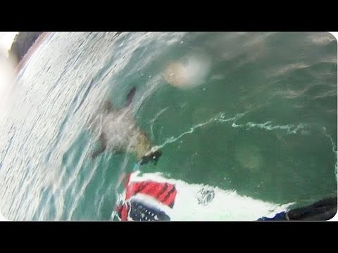 Killer Seal Or Scared GoPro Surfer Fail