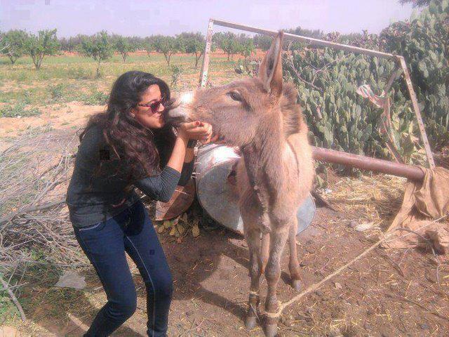 Donkey Sex Porn | Sex Pictures Pass