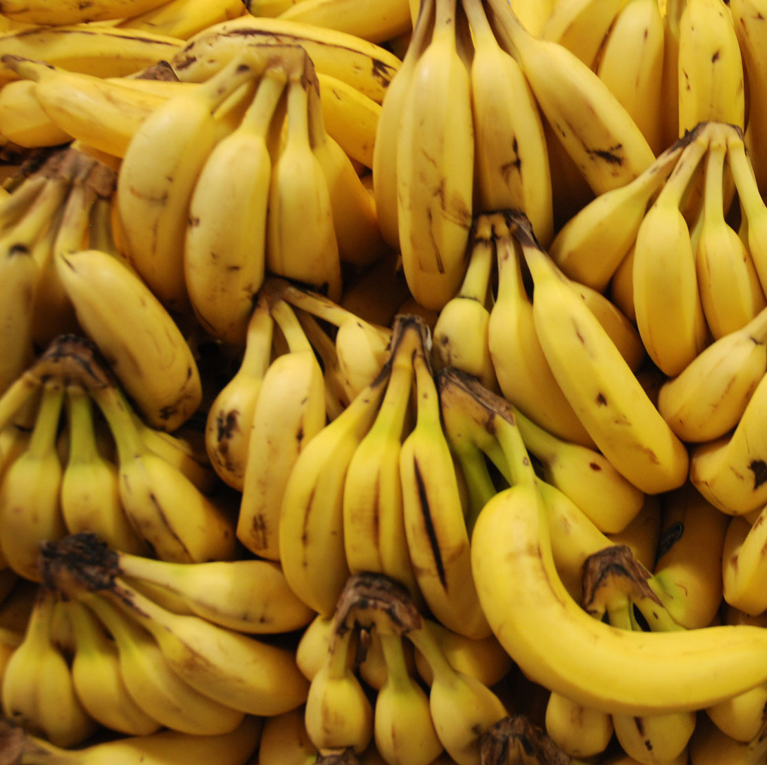 Alimentación tradicional Alimentación tradicional