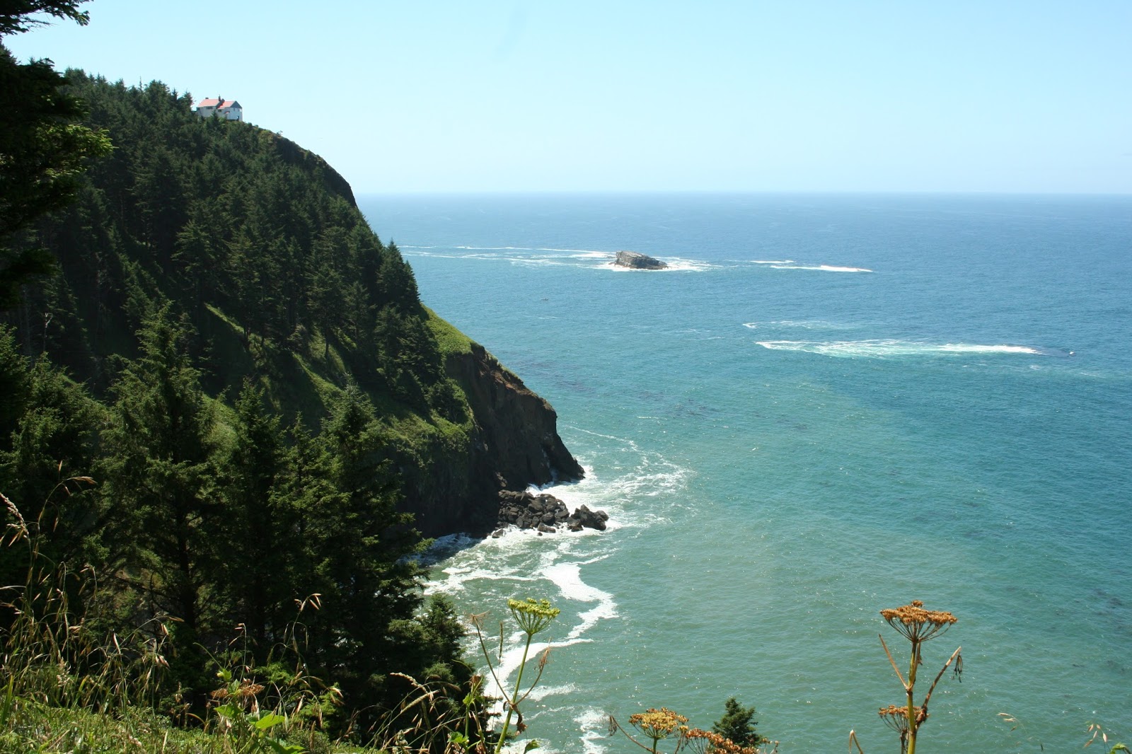 Our Odyssey A Drive Down the Coast to Newport, Oregon