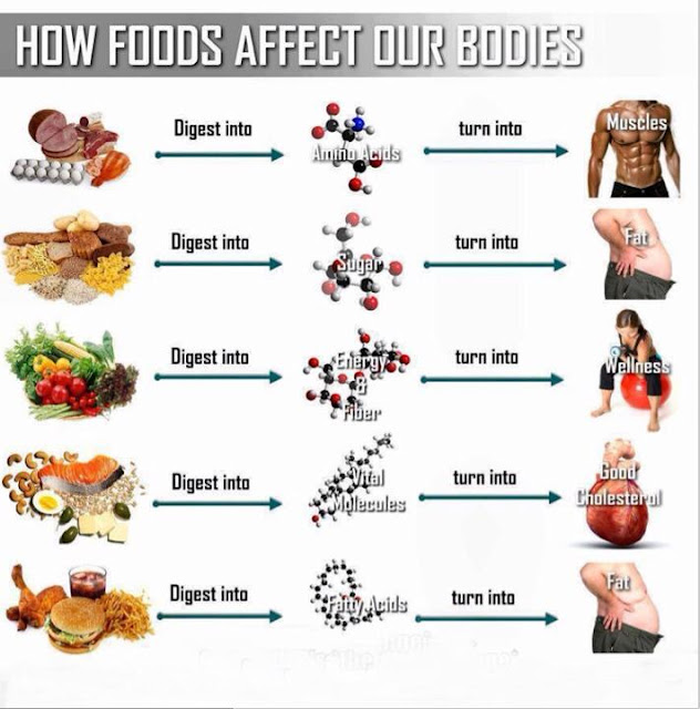 How Foods Affect our Bodies ViralTrendToday.