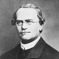 GREGOR MENDEL