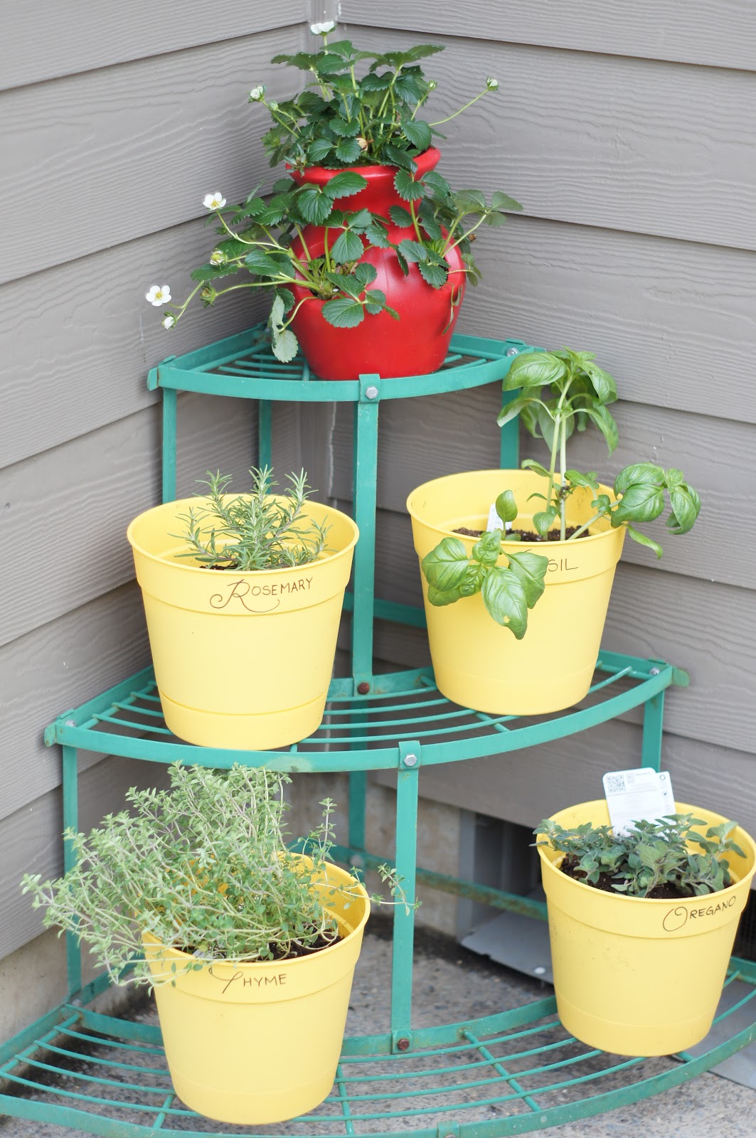 Blooming: Plant Stand Herb Garden