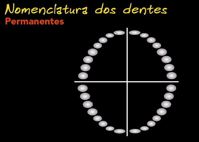 DENTÍSTICA: Nomenclatura dos dentes - Videoconferência do Prof. Thiago Calabraro